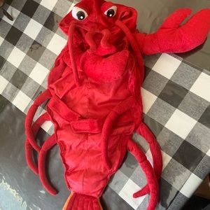 Lobster dog Halloween costume